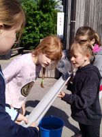 IMG-20250516-WA0075