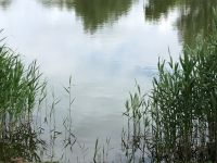 IMG_0097